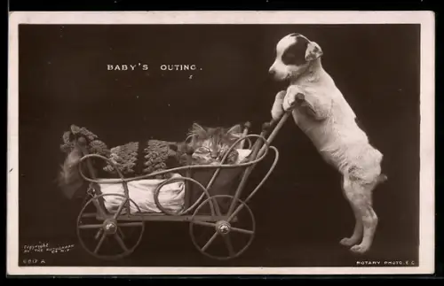 AK Baby`s Outing, Hund führt Katze im Kinderwagen spazieren