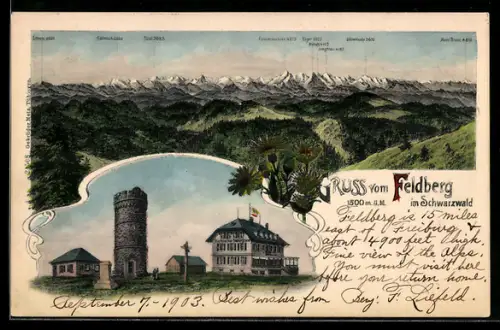 Lithographie Feldberg im Schwarzwald, Hotel mit Aussichtsturm, Bergpanorama mit Eiger, Mönch und Jungfrau