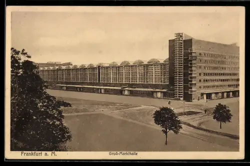AK Frankfurt a. M., Gross-Markthalle in der Sonnenstrasse