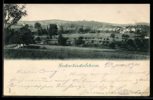 AK Neckarbischofsheim, Fernblick auf den Ort
