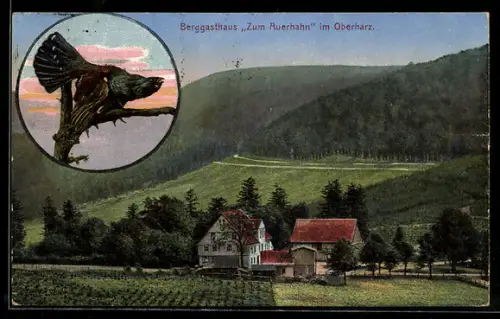 AK Hahnenklee /Oberharz, Berg-Gasthaus Auerhahn, Landschaft, Auerhahn-Abbildung