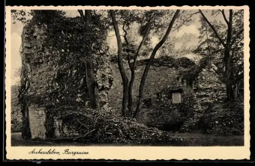 AK Aschersleben, Burgruine