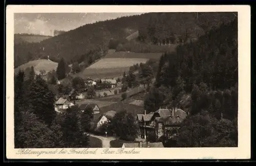 AK Friedland, Blick in den Blitzengrund, Villen am Waldrand