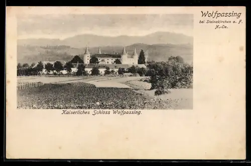 AK Wolfpassing /Steinakirchen a. F., Kaiserliches Schloss Wolfpassing mit Umgebung