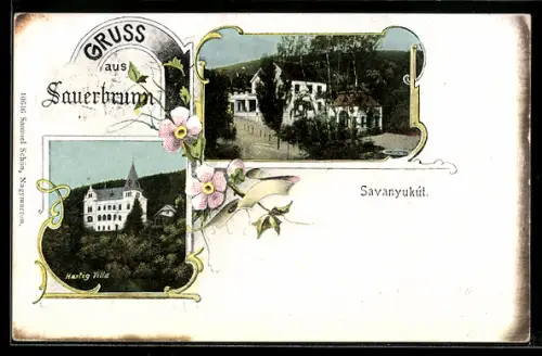 AK Sauerbrunn, Villa und Strassenpartie gerahmt von Rosen