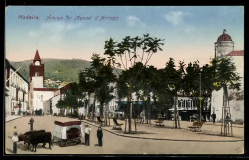 AK Madeira, Avenue Dr. Manuel d`Arriaga