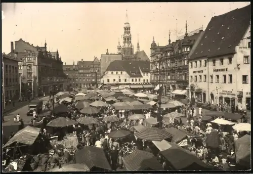 Fotografie Landgraf, Zwickau, Ansicht Zwickau, Marktstände auf dem Marktplatz, Löwen-Apotheke & Kräuter-Gewölbe