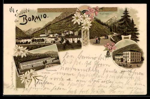 Lithographie Bormio, Hotel de la Poste, Stabilimento S. Caterina