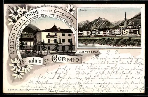 Lithographie Bormio, Albergo della Torre, Propr. Giuseppe Cola, Panorama