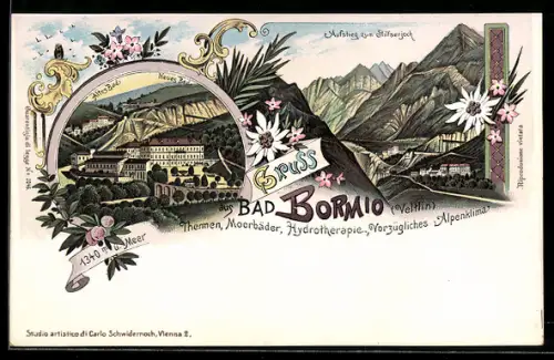 Lithographie Bormio, Ortsansicht mit altem und neuem Bad, Aufstieg zum Stilfser Joch