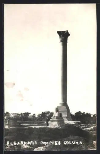 AK Alexandria, Pompei`s Column