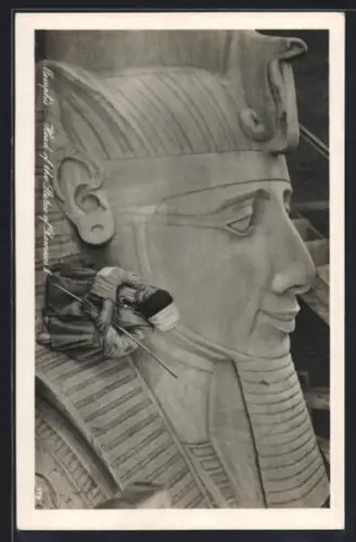 AK Memphis, Head of the King of Rameses II.