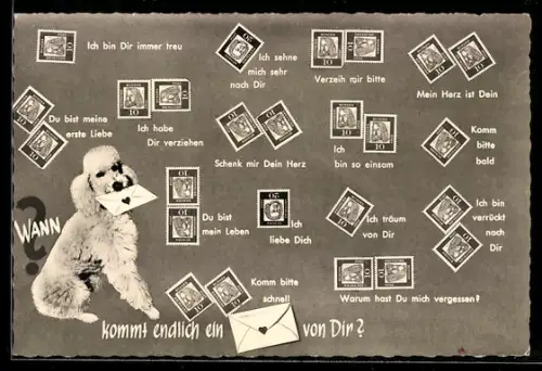 AK Verschiedene Formen der Briefmarkensprache, Pudel mit Brief