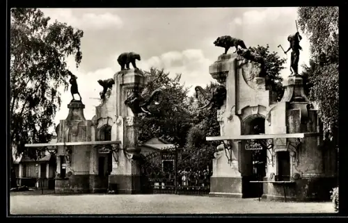AK Hamburg-Stellingen, Eingang zu Carl Hagenbeck`s Tierpark