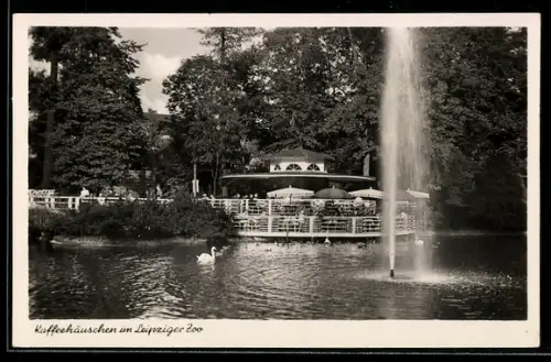 AK Leipzig, Kaffeehäuschen im Zoo, Teich