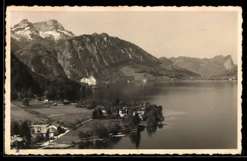 AK Weissenbach am Attersee, Ortspanorama mit See und Bergkulisse