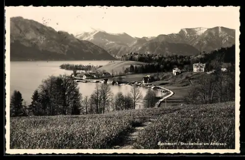 AK Buchenort am Attersee, Stockwinkel, Seeufer mit Häusern und Gebirgspanorama