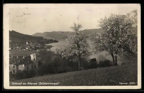 AK Unterach am Attersee, Panorama mit See und Kirche