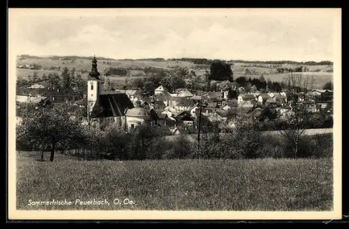 AK Peuerbach /O. Oe., Ortspanorama mit Kirche