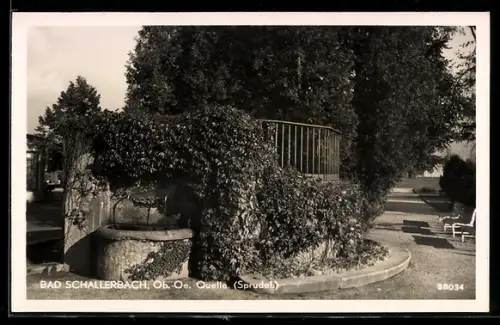 AK Bad Schallerbach /Ob. Oe., Quelle (Sprudel)