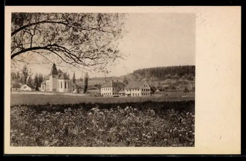 AK Pollham b. Grieskirchen, Dorfansicht mit Kirche