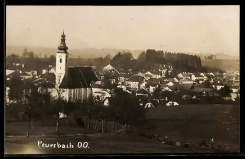 AK Peuerbach /O. Ö., Ortsansicht mit Kirche