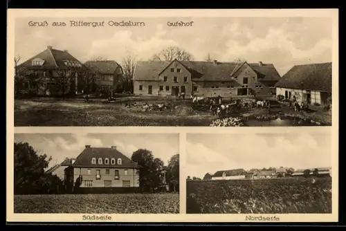 AK Oedelum, Rittergut, Gutshof, Südseite und Nordseite