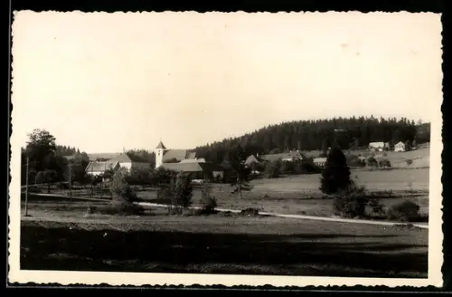 AK St. Stefan am Walde, Ortspartie mit Kirche