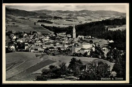 AK Haslach a. Donau, Teilansicht mit Kirche