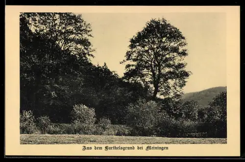 AK Meiningen, Aus dem Barthelsgrund