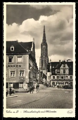 AK Ulm a. D., Hirschstrasse mit Hotel und Münster