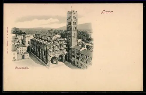 AK Lucca, Il Cattedrale