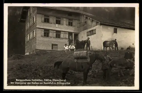 AK Mellau, Berggasthaus Hofstetten, Pferd, Kühe