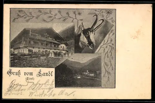 AK Landl /Tirol, Ansicht vom Gasthaus, Totalansicht des Ortes, Gemse