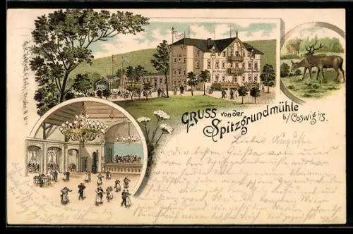 Lithographie Coswig i. S., Gasthaus Spitzgrundmühle