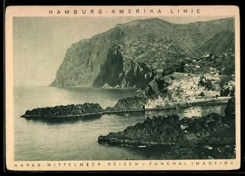 AK Hamburg-Amerika Linie, Bucht mit Schiffen