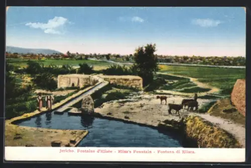 AK Jericho, Elisa`s Fountain