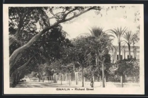 AK Ismailia, Richard Street