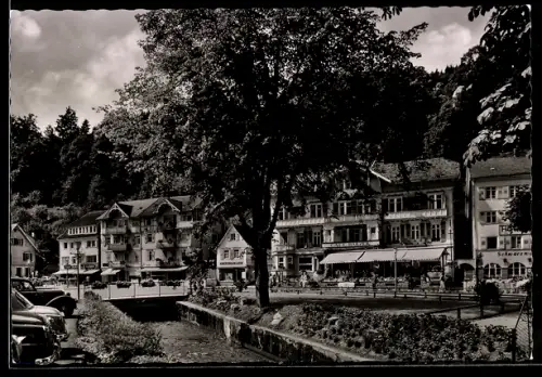AK Herrenalb im Schwarzwald, Hotel am Kurpark