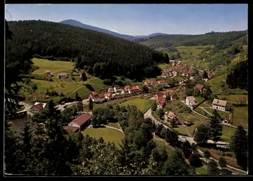 AK Schönmünzach im Schwarzwald, Teilansicht mit Strassenpartie
