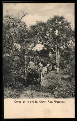 AK Chaco, Carros en la picada
