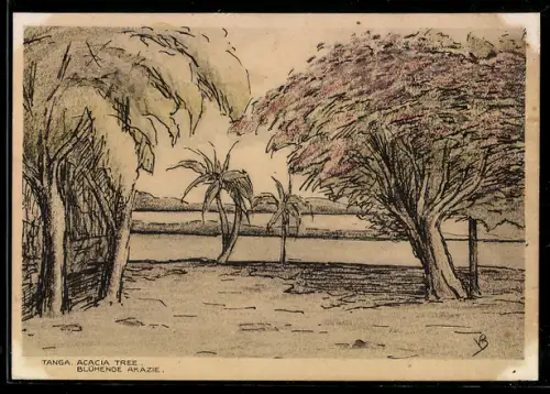 AK Tanga, Acacia Tree