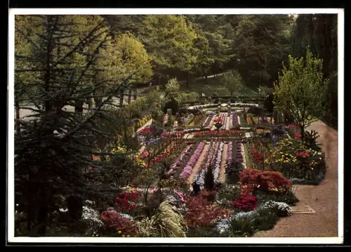AK Baden-Baden, Schaugarten der Firma Vogel-Hartweg