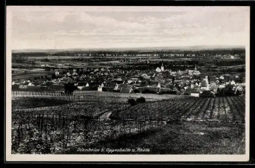 AK Dienheim b. Oppenheim, Ortsansicht mit umliegenden Weinbergen