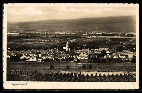 AK Ingelheim, Panoramaansicht mit Blick nach der Kirche