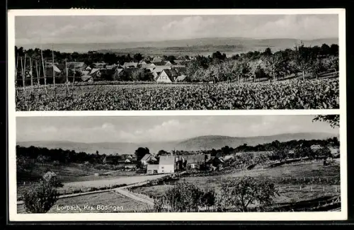AK Lorbach /Büdingen, Ortsansichten, Weinberge, Landschaft