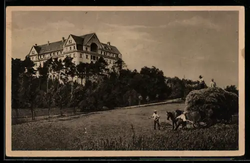 AK Bad Salzhausen /Oberhessen, Ernst-Ludwig-Heim, Heuernte, Pferdewagen