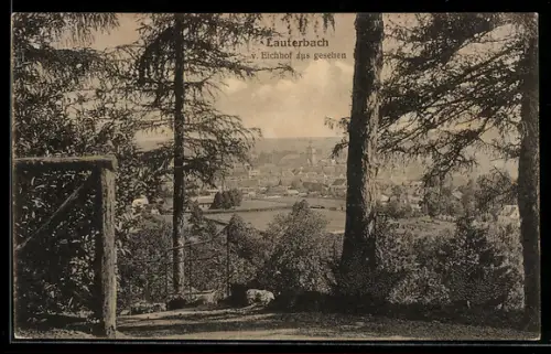 AK Lauterbach, Blick vom Eichhof auf den Ort