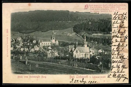 AK Bad Liebenzell i. Schwarzwald, Blick vom Beinberger Berg auf den Ort
