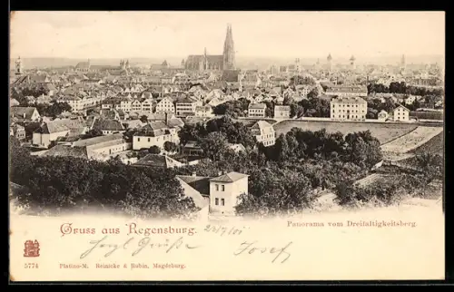 AK Regensburg, Panorama mit Kirche vom Dreifaltigkeitsberg aus